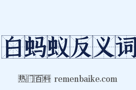 白蚂蚁反义词是什么意思的图片